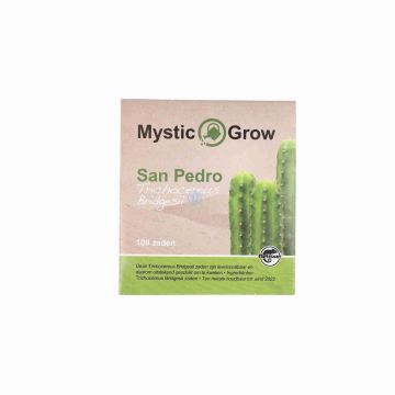 McMystic San Pedro Bridgesii Samen