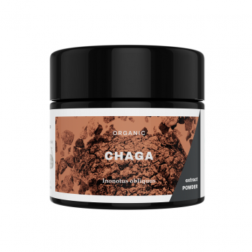 KÄÄPÄ Mushrooms Chaga Extrakt Pulver Bio