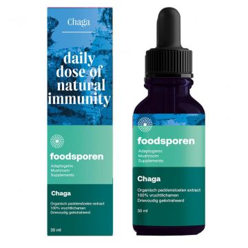 Foodsporen Chaga Pilzextrakt