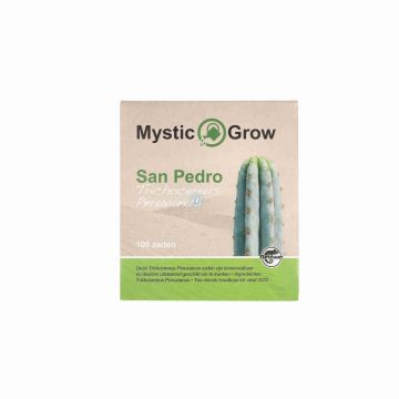 McMystic San Pedro Peruvianus Samen