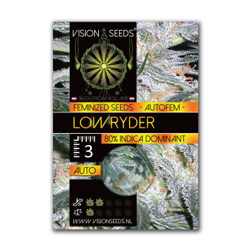 Vision Seeds Auto Lowryder