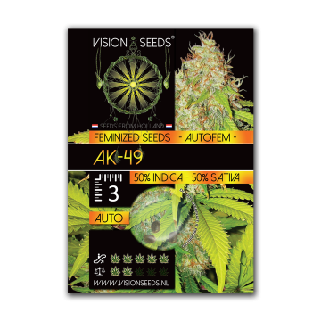 Vision Seeds Auto AK-49