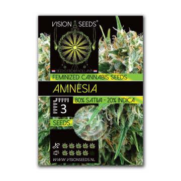 Vision Seeds Feminized Amnesia