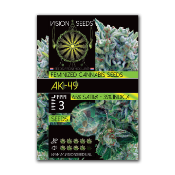 Vision Seeds Feminized AK-49