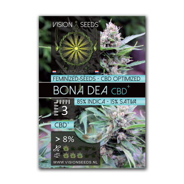 Vision Seeds Feminized Bona Dea (CBD+)