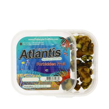 Magic Truffels  Atlantis