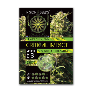 Vision Seeds Feminized Critical Impact