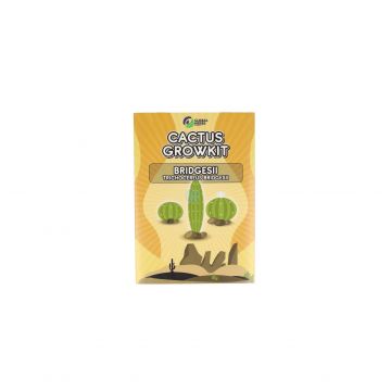 Cactus Growkit Bridgesii