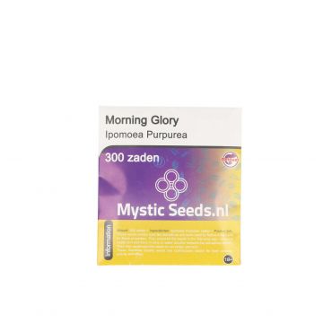 McMystic Morning Glory Zaden