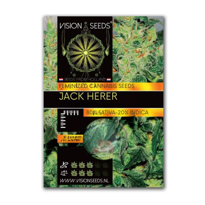 Vision Seeds Feminized Jack Herer