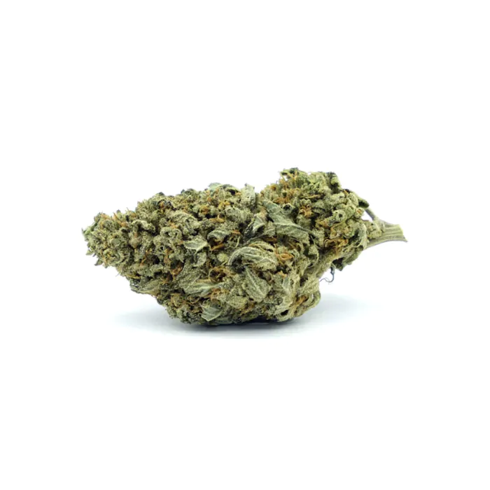 Chronic & Caviar Auto Gorilla Glue #4