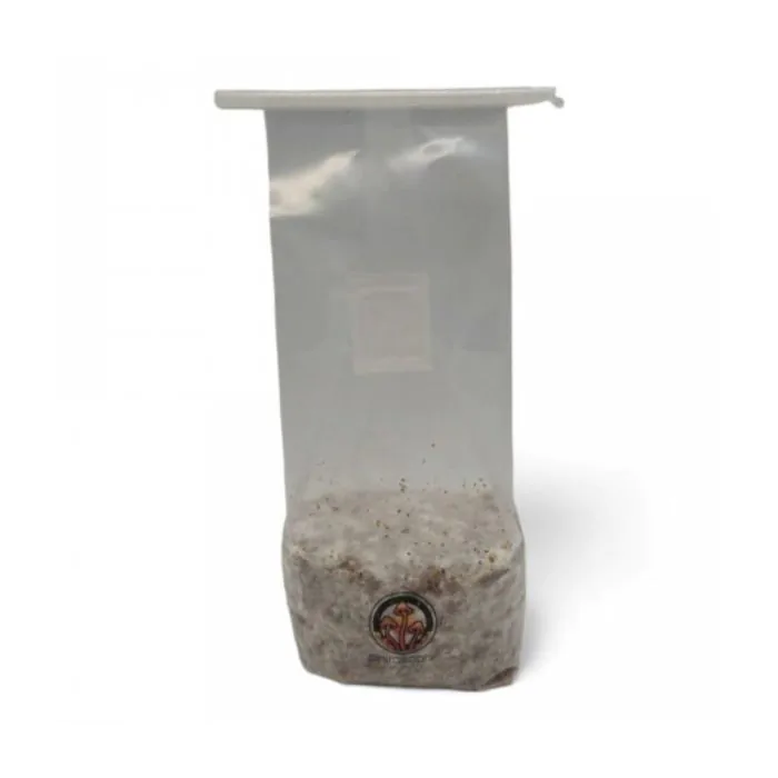 Philosophr Jack Frost Growkit