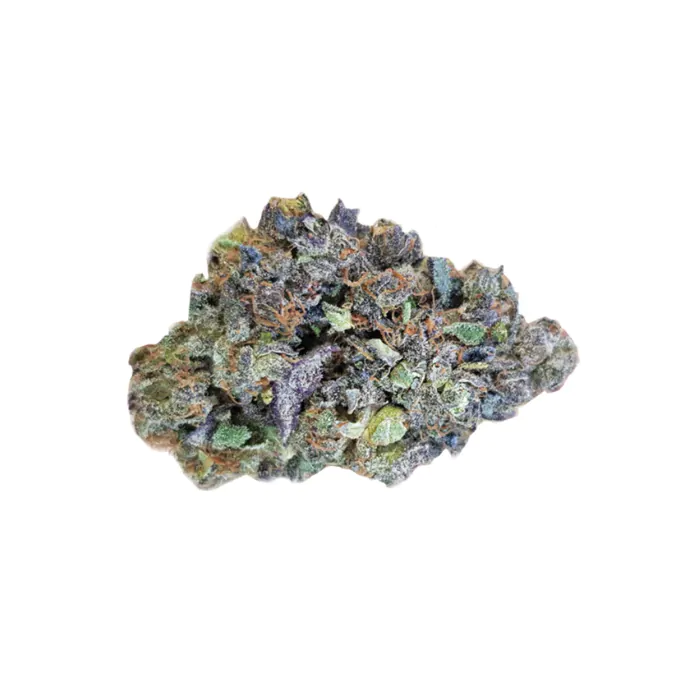 Chronic & Caviar Dolato Feminized
