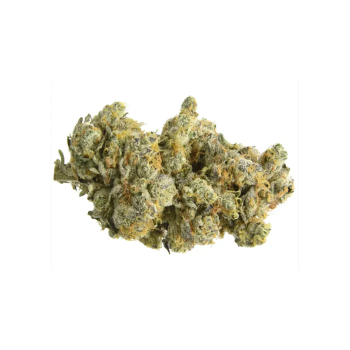 Chronic & Caviar Auto GMO Cookies