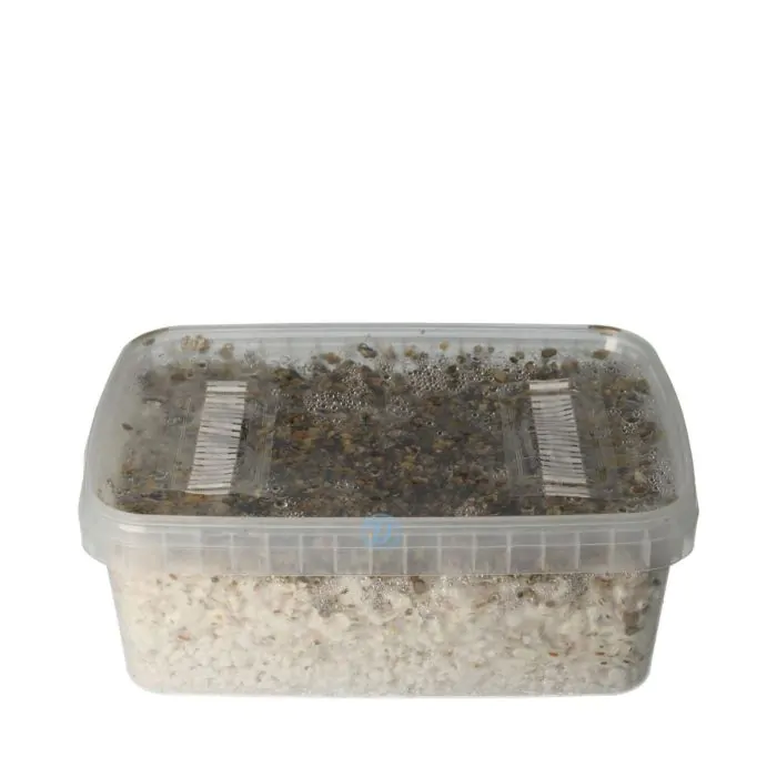 McSmart Magic Mushroom Starterkit Pro