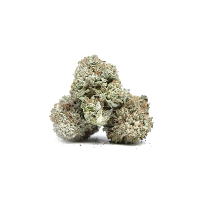 Chronic & Caviar Mimosa Champagne Feminized