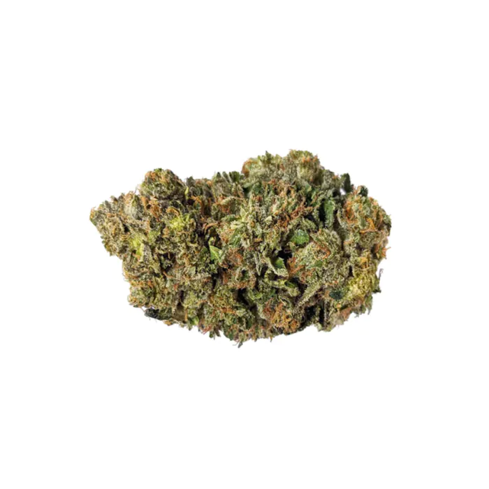 Chronic & Caviar Bruce Banner Feminized