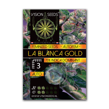 Vision Seeds Auto La Blanca Gold