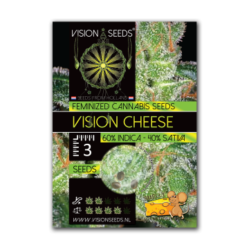 Vision Seeds Feminized Cheese