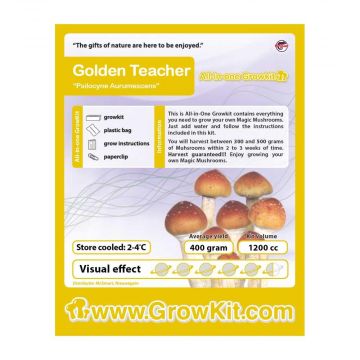 Golden Teacher Magic Mushroom Growkit