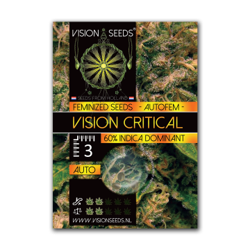 Vision Seeds Auto Vision Critical