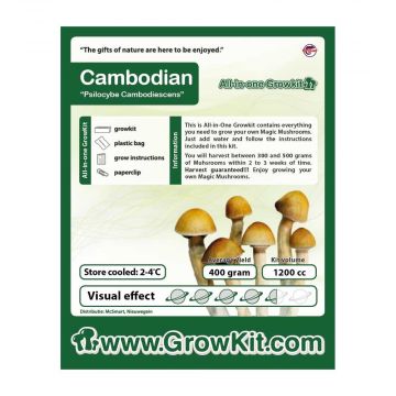 Cambodian Magic Mushroom Growkit