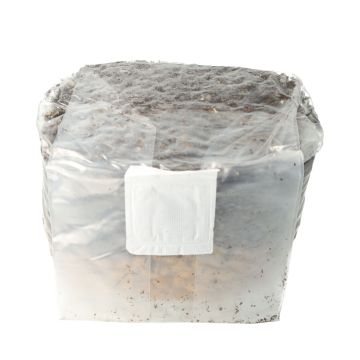 All In One Grow Bag 2000CC