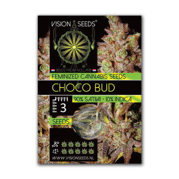Vision Seeds Feminized Choco Bud