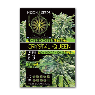 Vision Seeds Feminized Crystal Queen