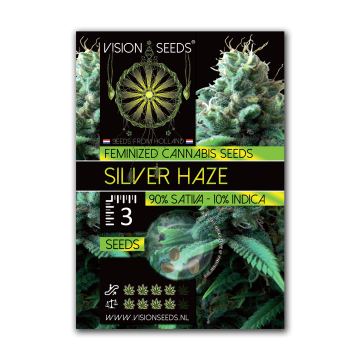 Vision Seeds Feminized Silver Haze
