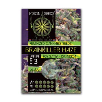 Vision Seeds Feminized Brainkiller Haze