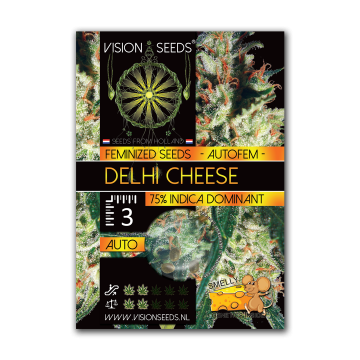 Vision Seeds Auto Delhi Cheese