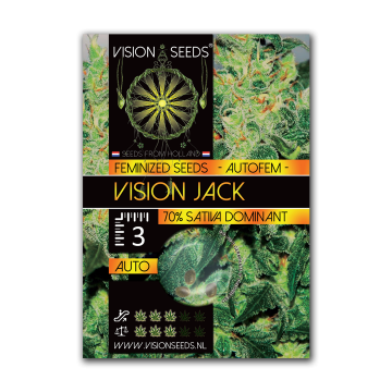 Vision Seeds Auto Vision Jack