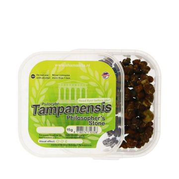 McSmart Magic Truffels Tampanesis