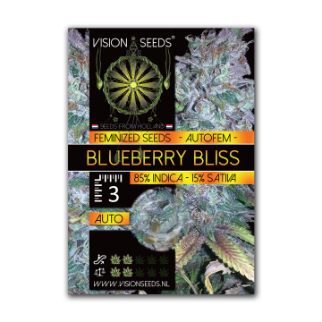 Vision Seeds Auto Blueberry Bliss