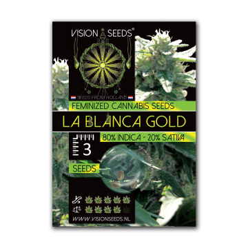 Vision Seeds Feminized La Blanca Gold