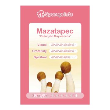 Mazatapec SporePrints