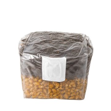 All In One Grow Bag 2000CC