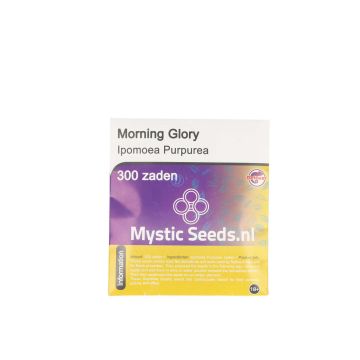 McMystic Morning Glory Zaden
