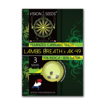 Vision Seeds Feminized Lambs breath x AK-49
