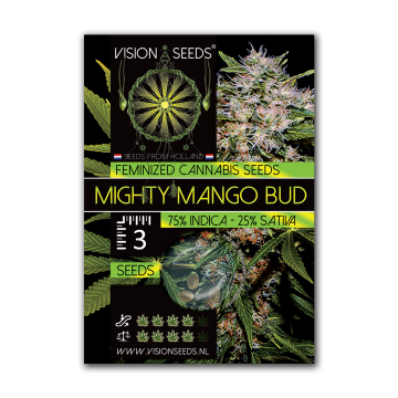 Vision Seeds Feminized Mighty Mango Bud