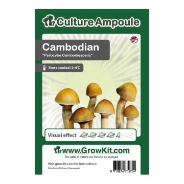 Cambodian Culture Ampoule