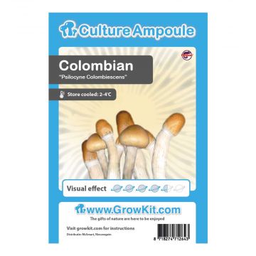 Colombian Culture Ampoule