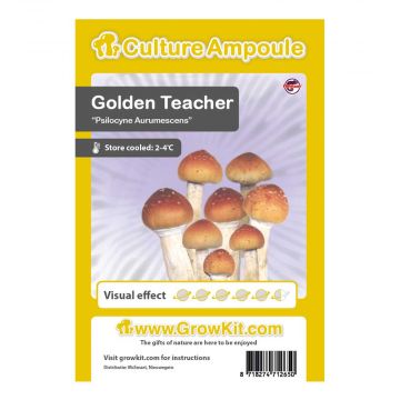 Golden Teacher Culture Ampoule