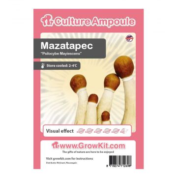 Mazatapec Culture Ampoule