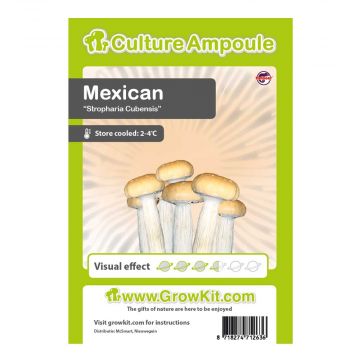 Mexican Culture Ampoule