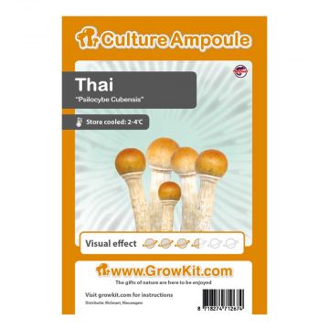 Thai Culture Ampoule