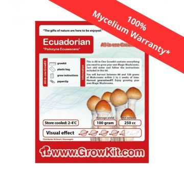 Ecuadorian Magic Mushroom Growkit