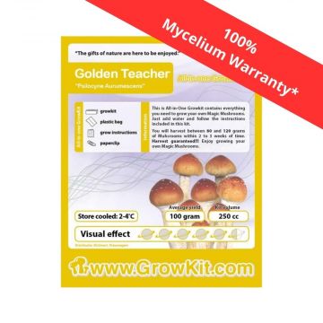 Golden Teacher Magic Mushroom Growkit