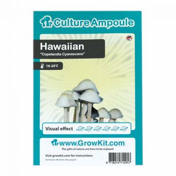 Hawaiian Culture Ampoule